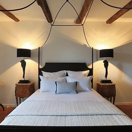 Gasthuis Chateau Olmet 4*