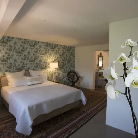 Guest house Chateau Olmet Lodeve