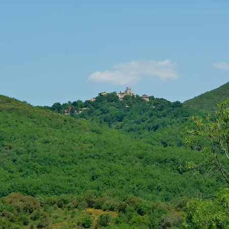 Chateau Olmet Guest house 4*